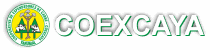 COEXCAYA | Cooperativa de Expendedores de Carne Yarumal